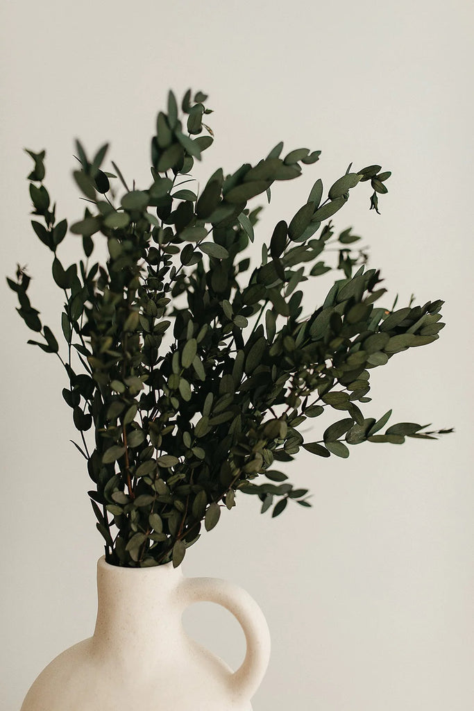 By Two Fields- Parvifolia Preserved Eucalyptus