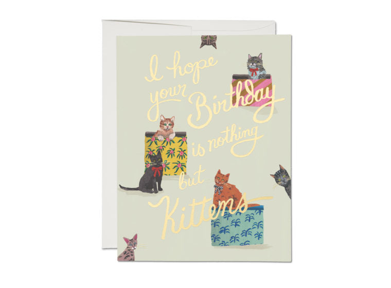 Red Cap Cards - Nothing But Kittens Birthday Card
