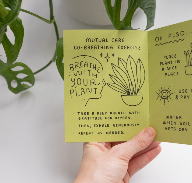 Worthwhile Paper - How To Keep A Plant Alive Zine