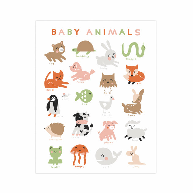 Worthwhile Paper - Baby Animals 11 x 14