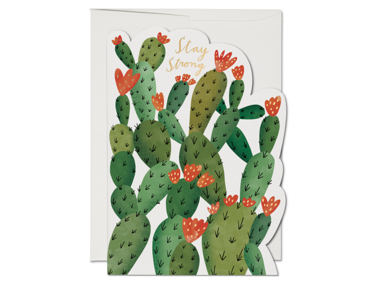 Red Cap Cards - Stay Strong Cactus Encouragement Card