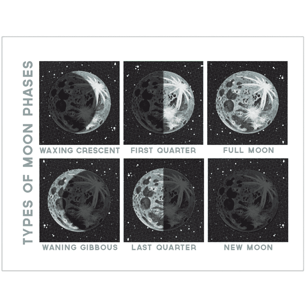 Regional Assembly of Text - Types of Moon Phases Card