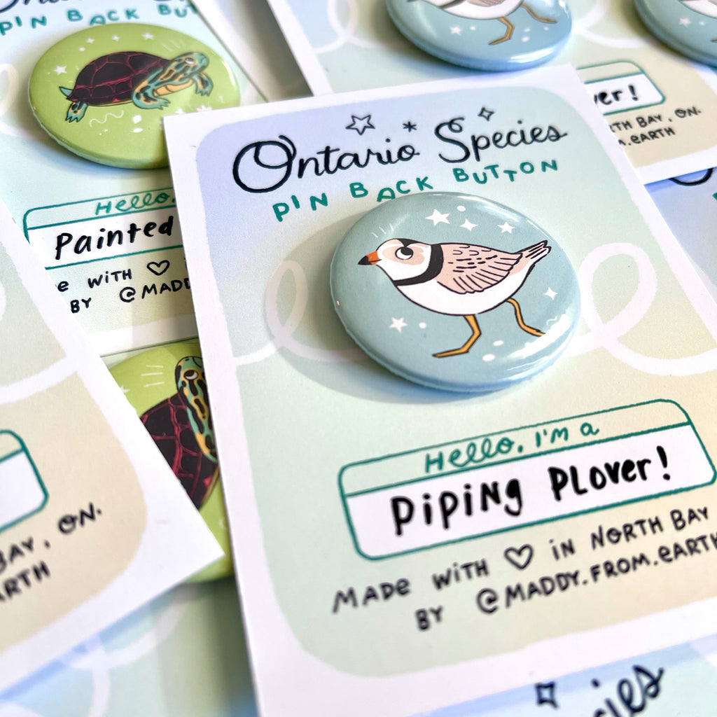 Maddy Young - Piping Plover Pin