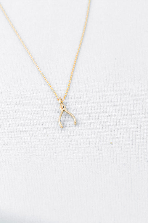 Jen Ellis - Tiny Wishbone Necklace