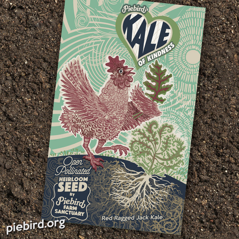 Piebird - Heirloom Seeds (Kale of Kindness)