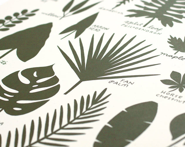 Worthwhile Paper - Leaf Studies Screen Print (16x20)